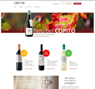 Copito Homepage 2017